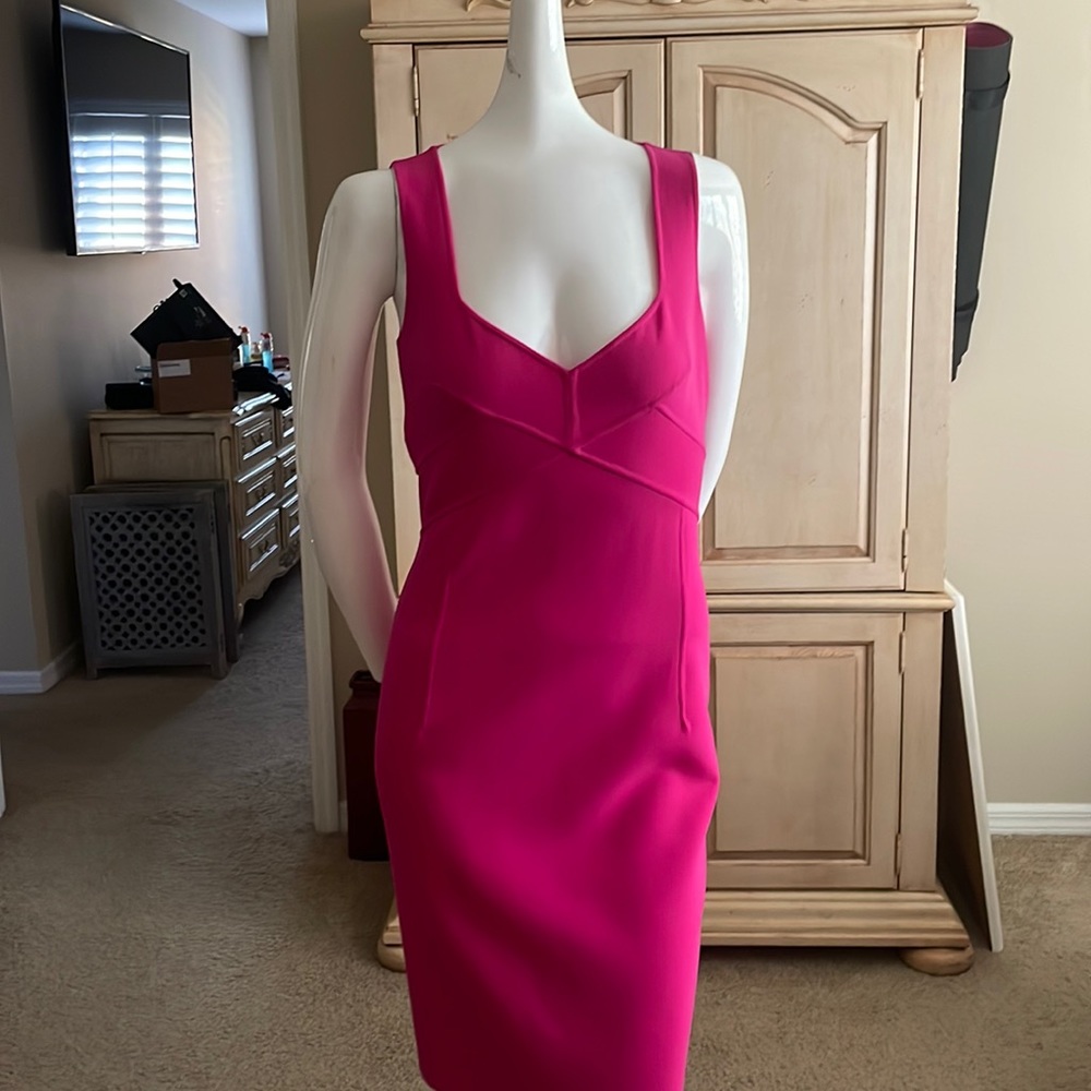 Michael Kors Collection Virgin Wool Sheath Dress Italy Zinnia Pink Size 8 NWOT